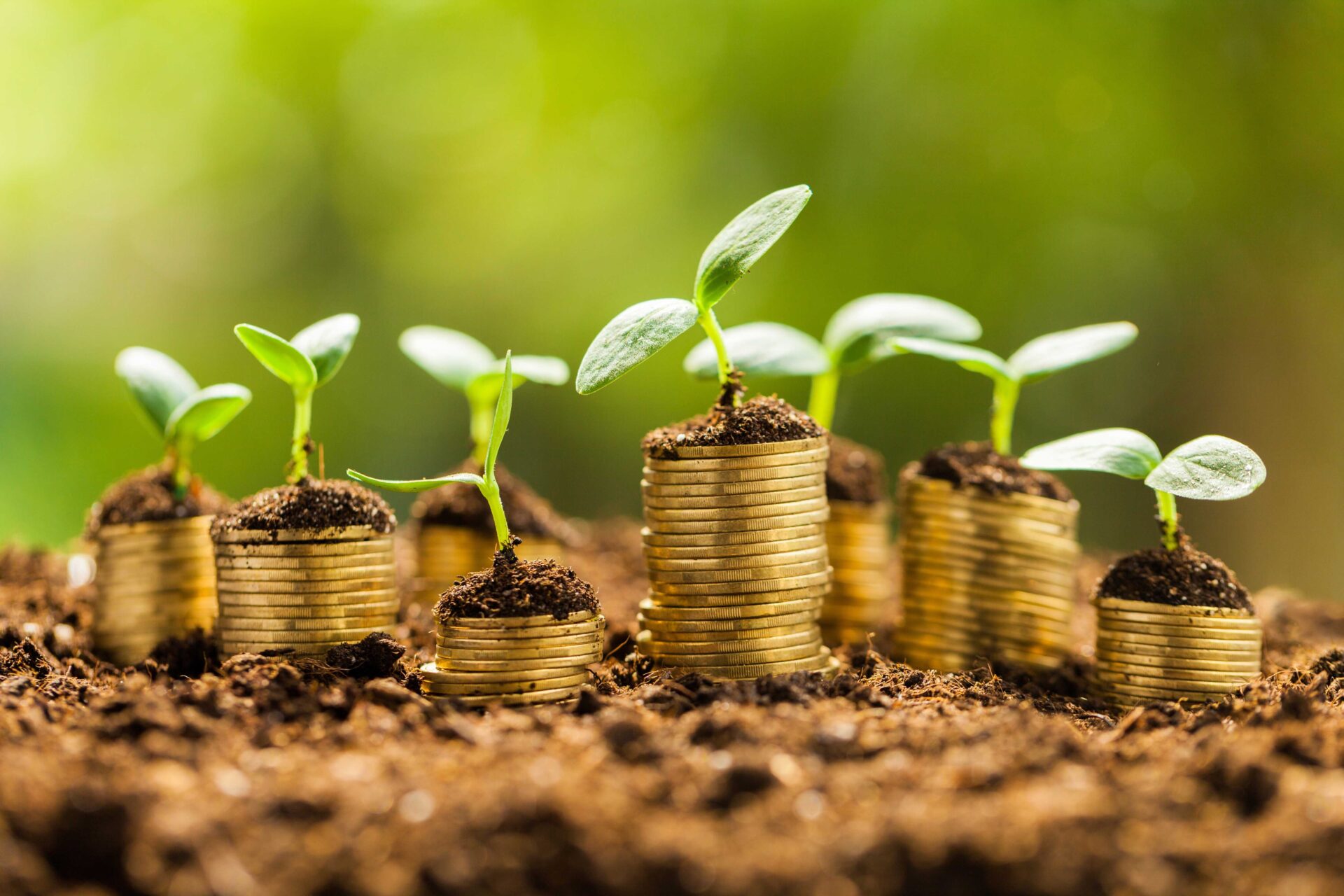 Petites plantes poussant sur des pièces en or secteur de l'agribusiness allemand