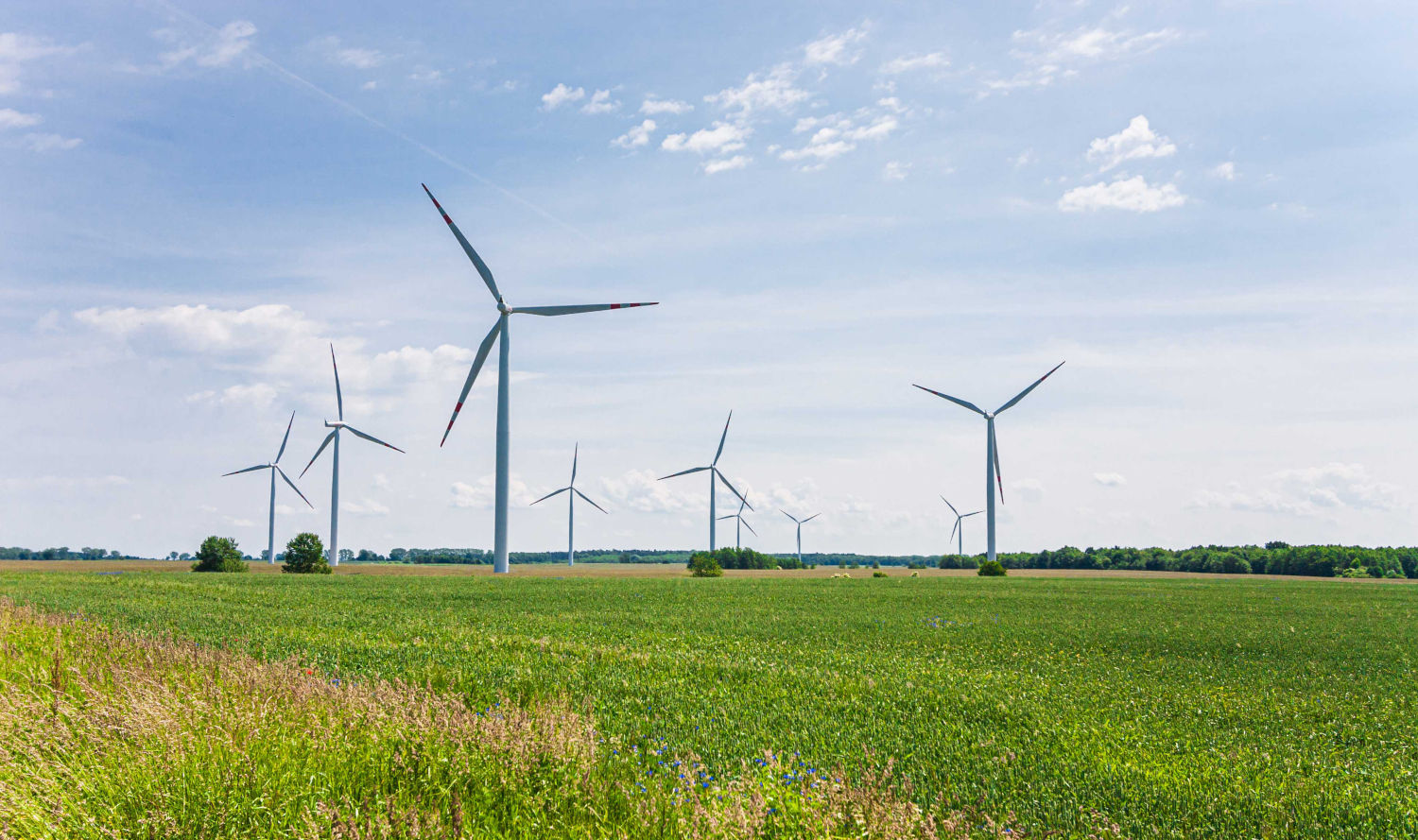 champ d'éolienne créant de l'énergie verte et durable dans le secteur des technologies de l'environnement allemand