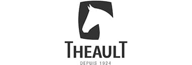 https://www.ccifrance-allemagne.fr/wp-content/uploads/2023/11/theault_logo.jpg